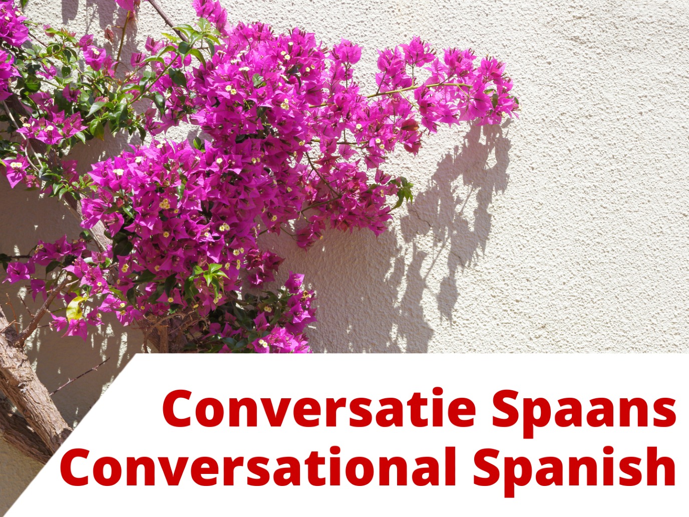 Conversatie A1 en A2