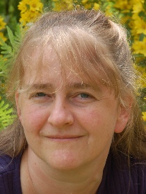 prof. dr. B. (Bregje) Wertheim